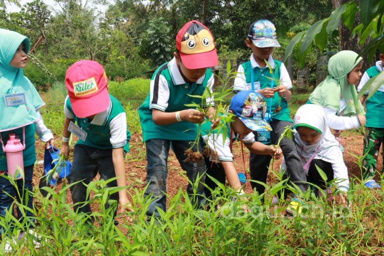 Belajar Mengolah Pertanian dan Peternakan di Ajang Daqu Family Gathering